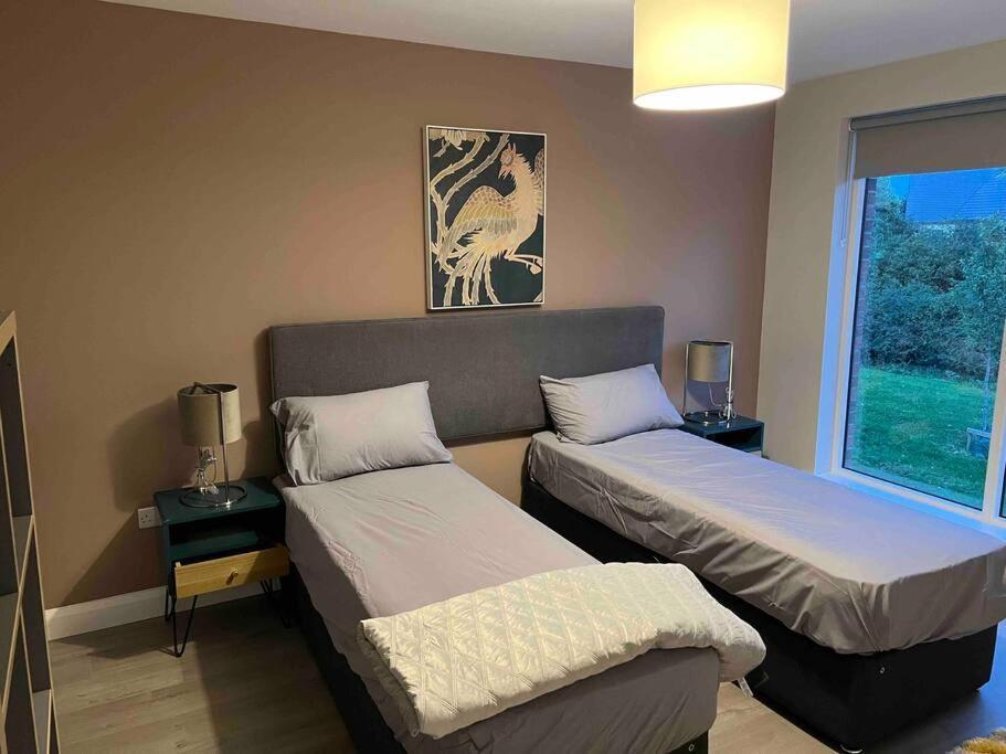 3 Bed Rooms Vip Family House Дублин Экстерьер фото